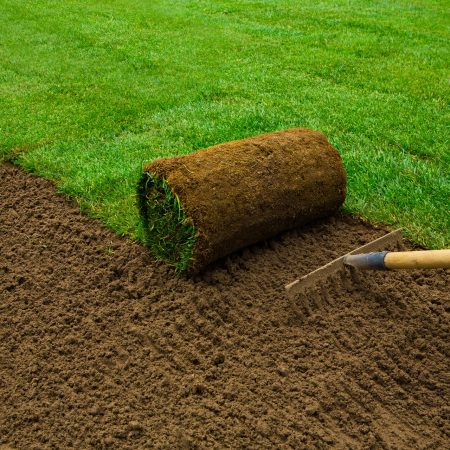 Gardener applying turf rolls in the backyard